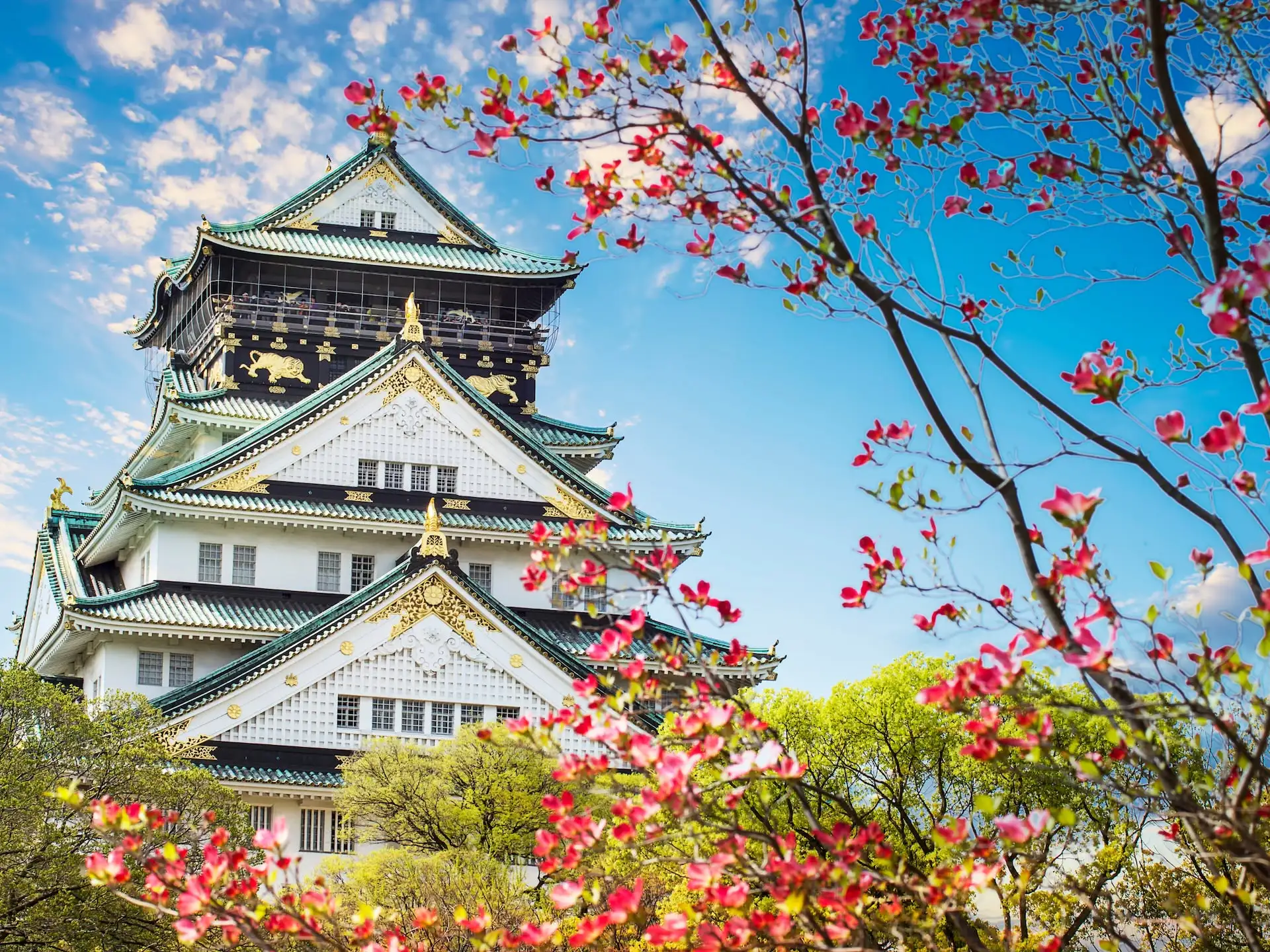 6.donjon-chateau-osaka